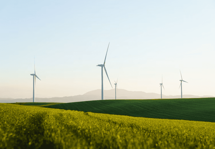 Wind turbines above open farmland
